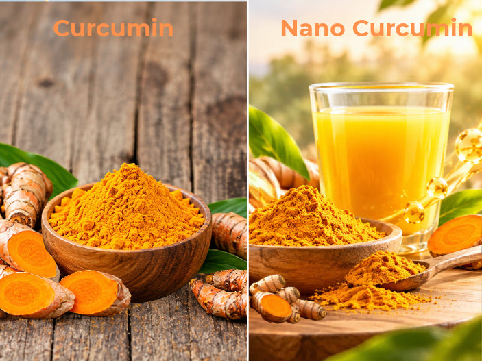 Comparing Curcumin And Nano Curcumin: Which One Is Better Absorbed?