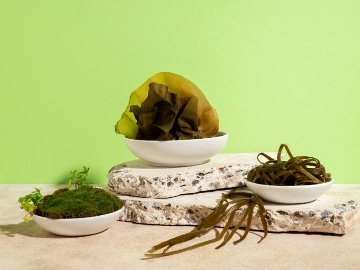 Fucoidan And Lifestyle: A Healthy Lifestyle With Japanese Seaweed