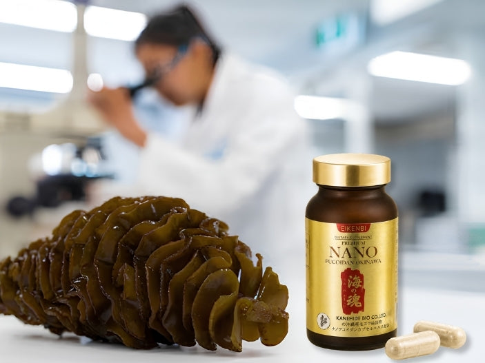 How long should Fucoidan be used? How to Use It Effectively