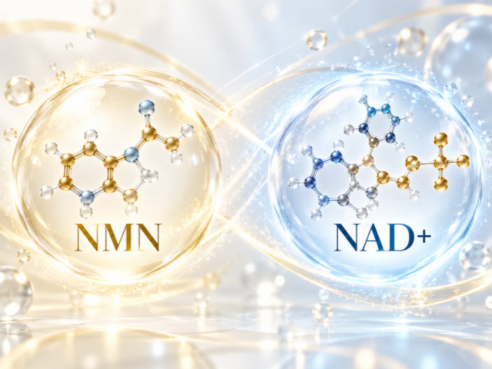 What Is Nmn? What Is Nad+? The Japanese Secret To Slowing Down Aging
