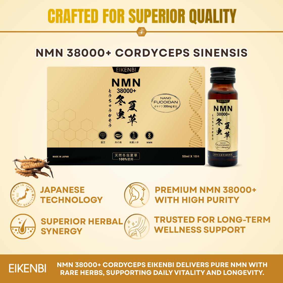 NMN Cordyceps Supplement Eikenbi – Vitality & Longevity Support NMN Cordyceps Supplement Eikenbi – Vitality & Longevity Support
