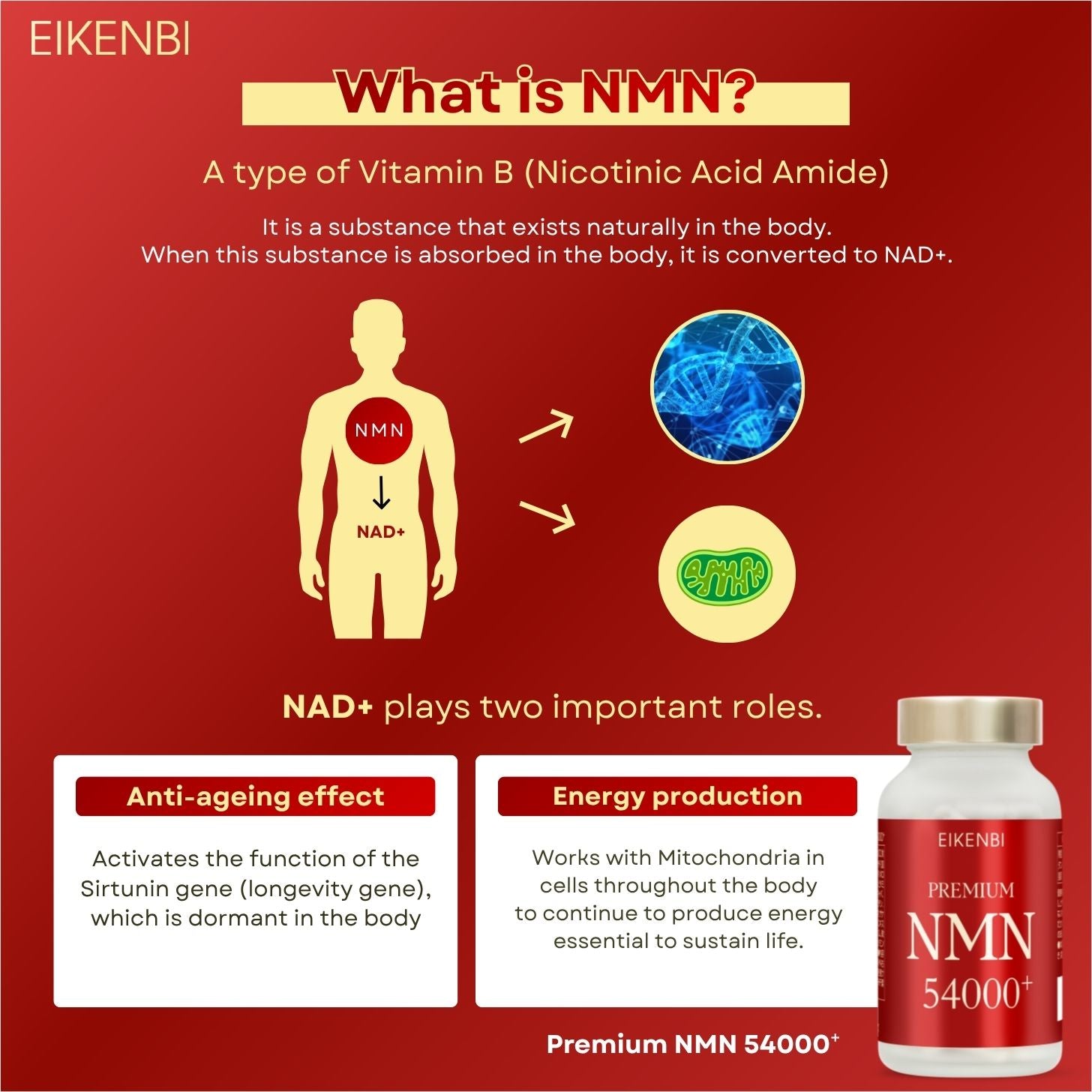 NMN 54000+ Premium Eikenbi – Premium Anti Aging Support