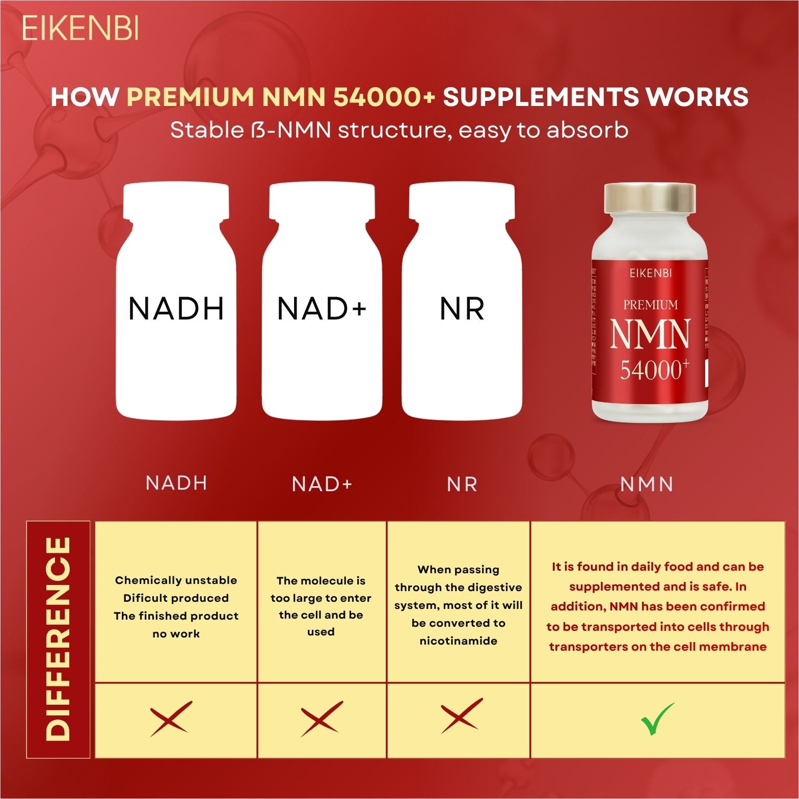 NMN 54000+ Premium Eikenbi – Premium Anti Aging Support